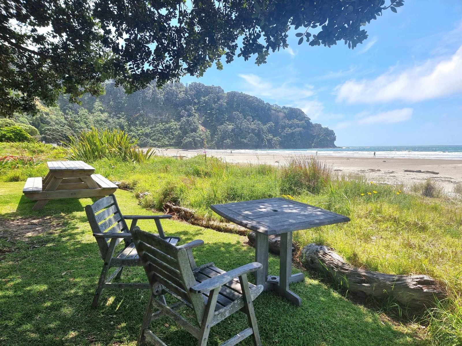 Ohope beach-front accommodation